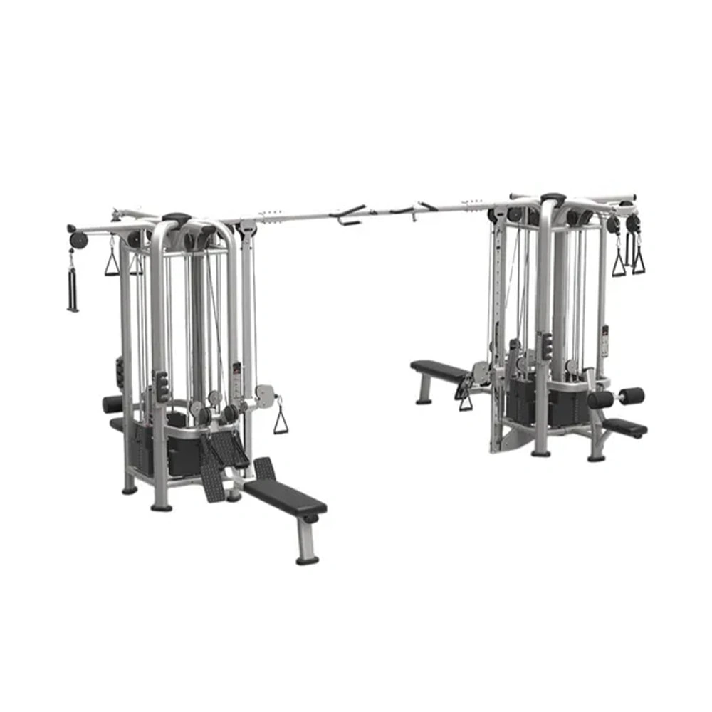 Life Fitness Big Bird Comprehensive Trainer