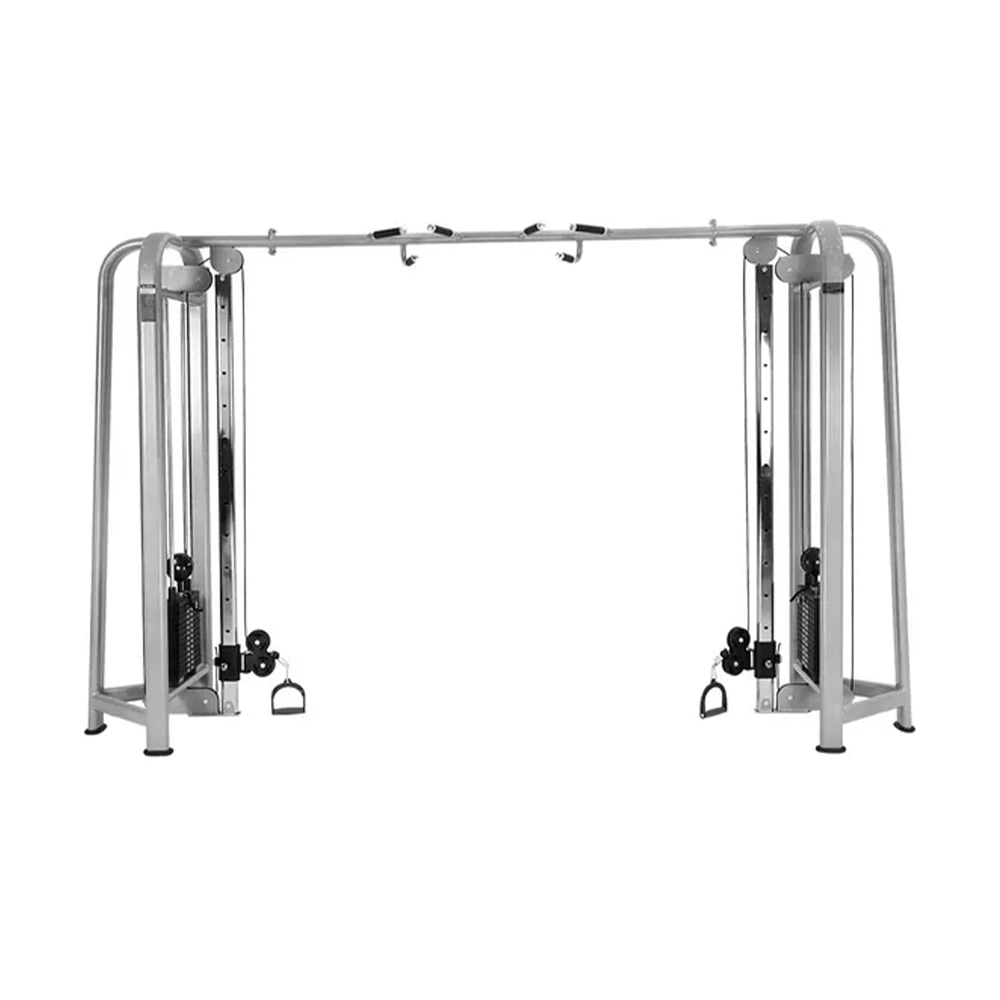 Life Fitness Big Bird Comprehensive Trainer