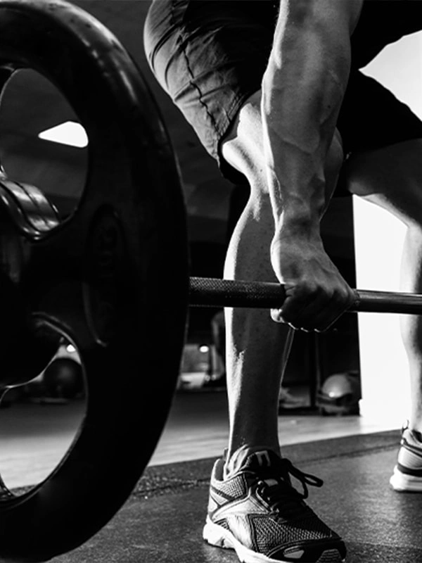 What is the Most Popular Equipment?