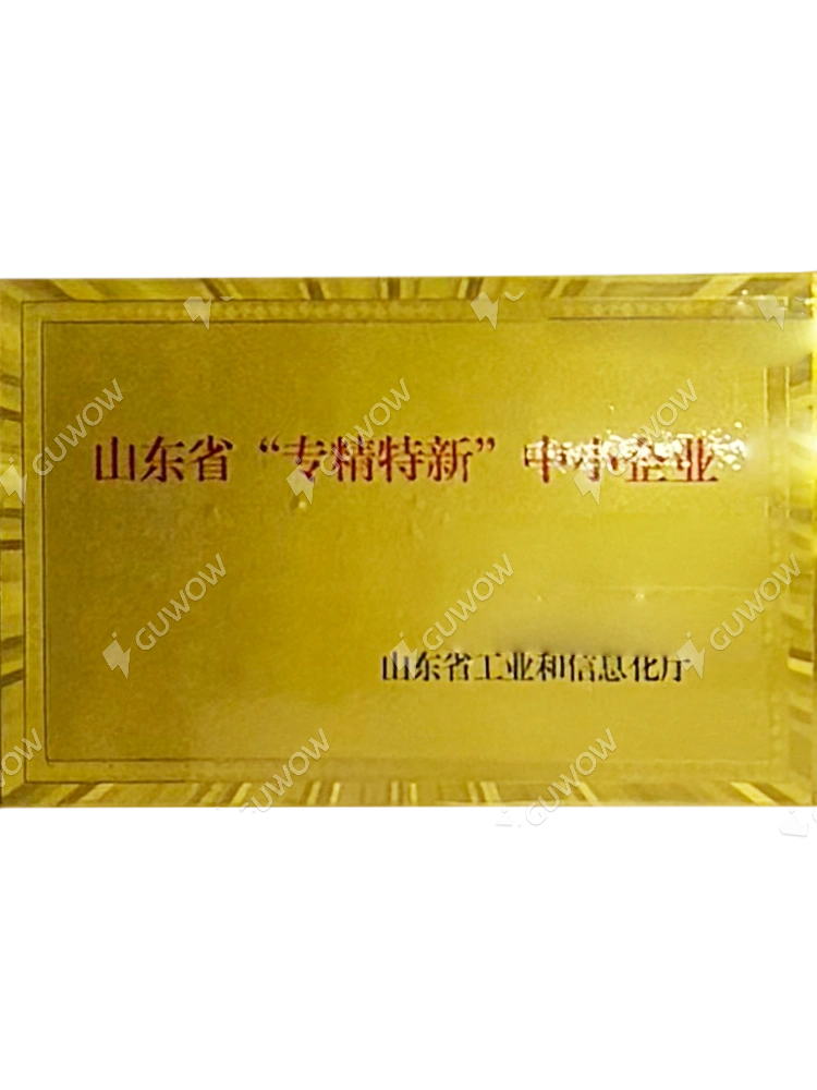 Shandong Province “Specialized, Specialized and New” Small and Medium-sized Enterprises