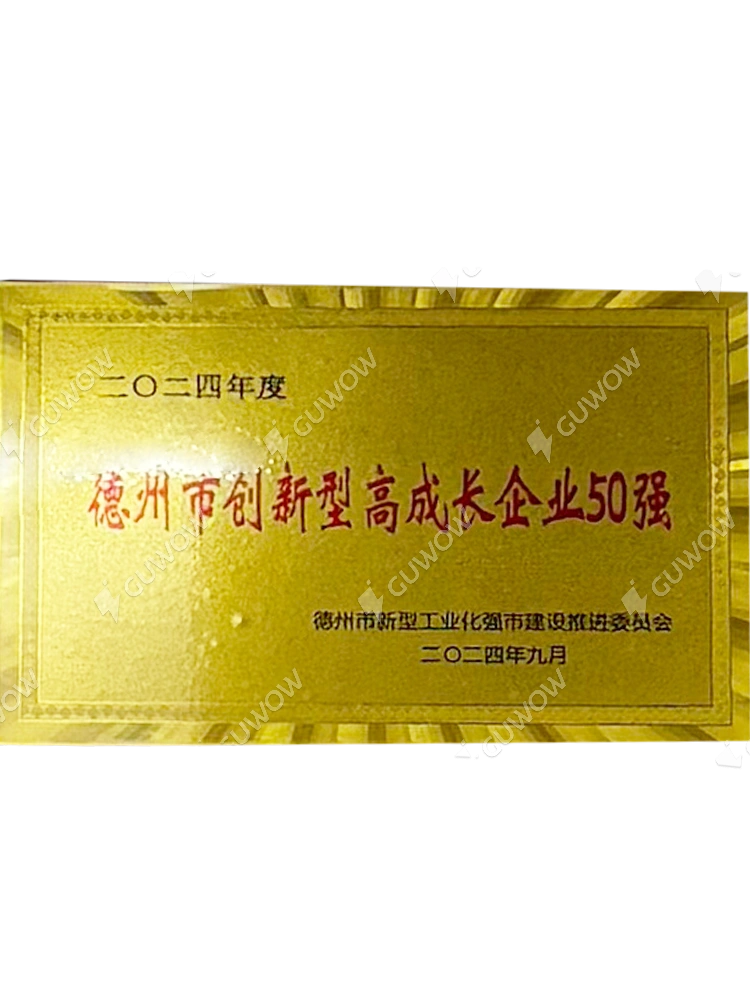 Top 50 Innovative and High-Growth Enterprises in Dezhou