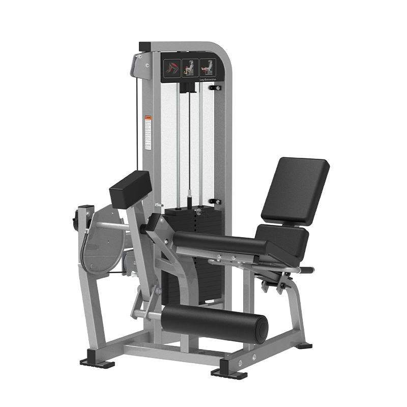 Seated Leg Extension
