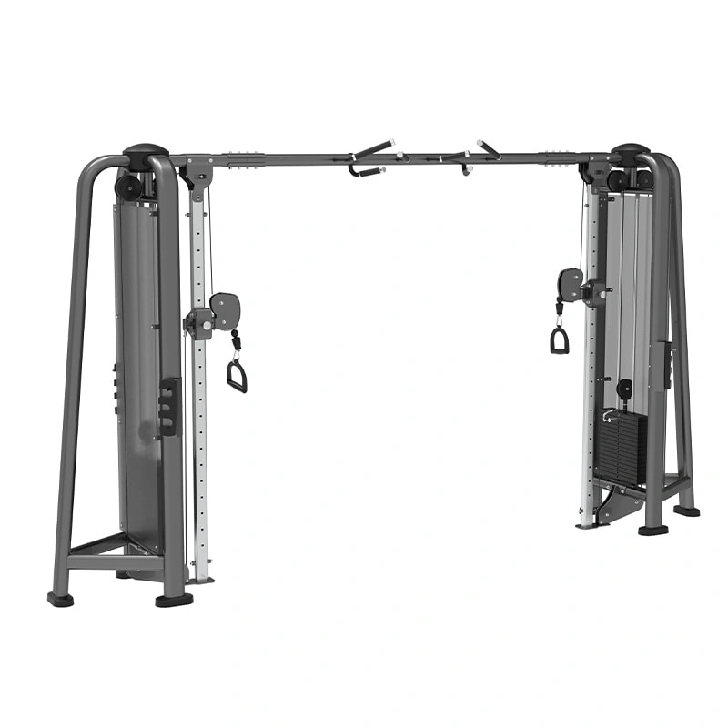 Entrenador Integral Big Bird